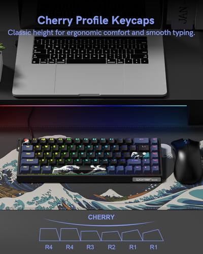 SK68 65% Gaming Keyboard, Wired Backlit Mini Keyboard w/100% Hot-Swap Socket 68 Keys Aluminum Gaming Wired Keyboard for PC Laptop Game - color: Black