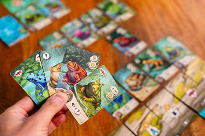 Capstone Games Pondscape - Strategy Card Game for Adults & Teens - 2 Player or More - Asymmetrical, Mystery, Role-Based & Thematic Card Game for Game Night & Family Fun