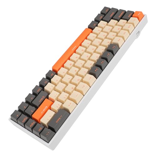 60 Percent Gaming Mechanical Keyboard Compact Durable RGB Backlit for and Working Professionals 68 Keys