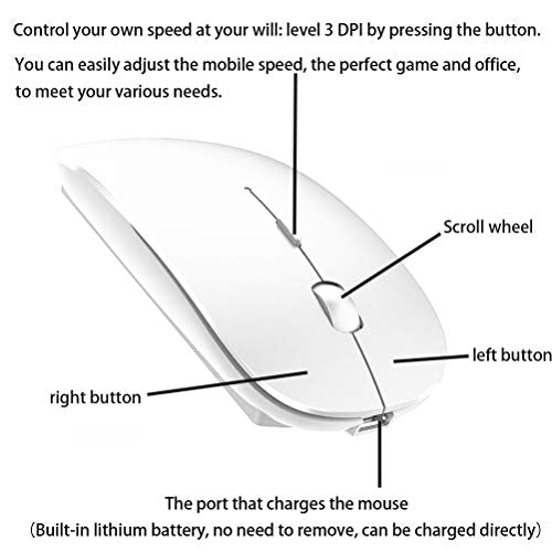 PEIBO Bluetooth Wireless Mouse for Laptop mac MacBook ipad MacBook air MacBook pro pc Desktop Computer Windows Chromebook Notebook (White) - color: WHITE