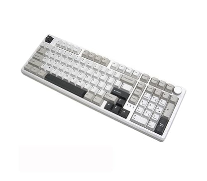 LUMI101 Wireless Mechanical Keyboard,Full-size keyboard with numeric keypad，Tri-Mode BT5.0/2.4GHz/USB-C Hot Swappable Custom Keyboard,RGB Backlit Computer Gaming Keyboards(White Grey Mute Switch) - color: White Mute Switch