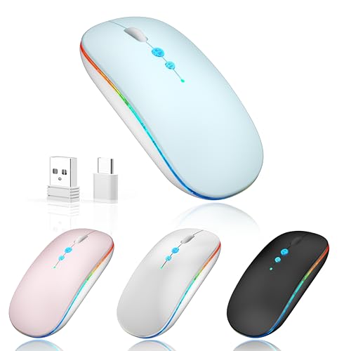 Halpilt LED Wireless Mouse A100S Rechargeable Portable Silent Mouse with Optional USB and Type-C Receiver 3-Speed Adjustable DPI for PC/Mac/Laptop (Frosted Blue) - color: Frosted Blue