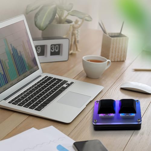 Yunseity 2 Key Gaming Keyboard, USB Wired Mini 2 Key Programmable Keyboard, Shortcut Key Copy Paste One Handed Keyboard with RGB Backlit, Mechanical Gaming PC Keyboards