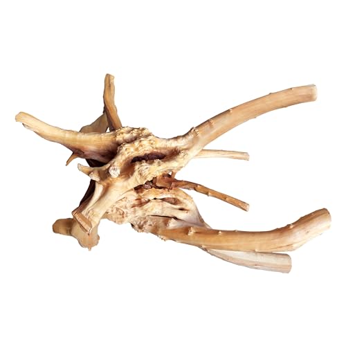 majoywoo Natural Large Driftwood for Aquarium Decor Reptile Decor, Assorted Spider Wood Branch 13-17" Long, Fish Tank Decoration - size: Spiderwood 13 to 17 Inch(Pack of 1)
