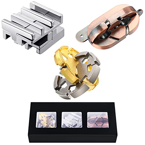 Skylety Brain Teaser Metal Puzzle Toys 3D Unfasten Interlocking Puzzle for Adults Teens Gifts(Stylish)
