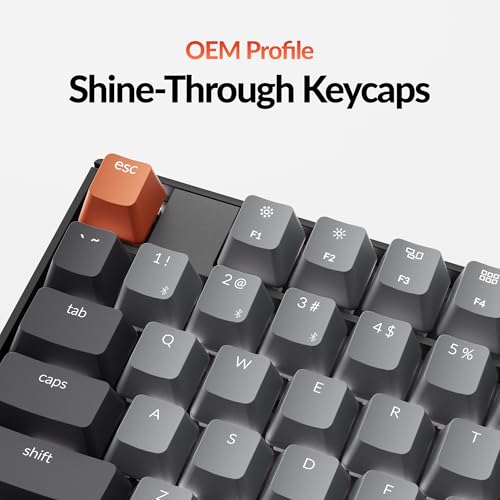 Keychron K10 Full Size 104 Keys Bluetooth Wireless Mechanical Gaming Keyboard for Mac Windows with Keychron Silent K Pro Red Switch, Multitasking/White LED Backlight/USB C Wired Computer Keyboard - color: Keychron Silent K Pro Red Switch