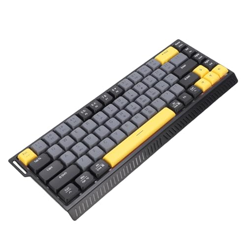 Wired Keyboard, 68 Keys RGB Backlit Gaming Keyboard, Quiet Slim Anti Ghosting Wired Computer Keyboards with Scissor Switch for PC, Laptop, Desktop (Gray Black) - color: Gray Black