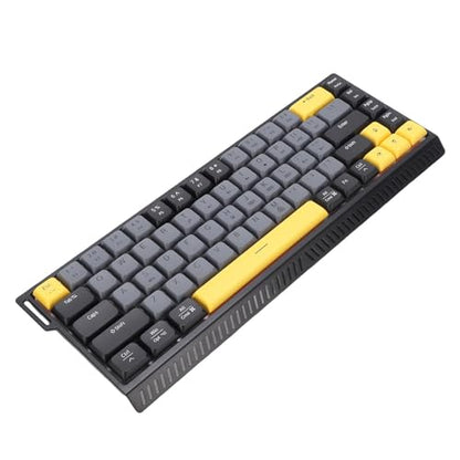 Wired Keyboard, 68 Keys RGB Backlit Gaming Keyboard, Quiet Slim Anti Ghosting Wired Computer Keyboards with Scissor Switch for PC, Laptop, Desktop (Gray Black) - color: Gray Black