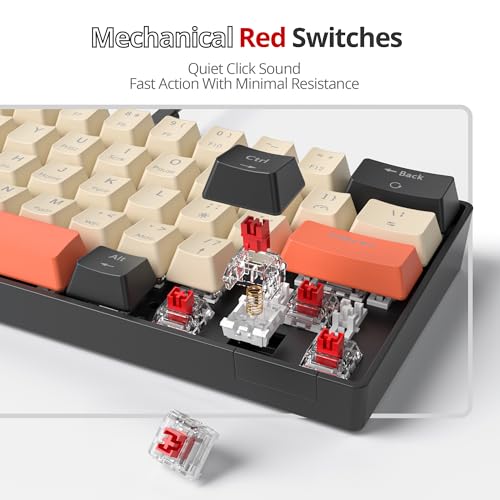 60% Mechanical Keyboard Black and White, Compact 60 Percent Gaming Keyboard RGB Backlit, 61 Keys Red Switches Mini Keyboard, USB Wired Office Keyboard for Windows Mac Laptop PC (61 Carbon) - color: 61 Carbon/Red Switch