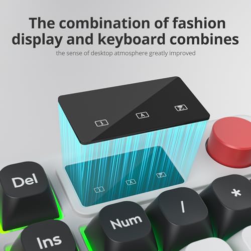 RGB Mechanical Feel Membrane Wireless Keyboard, Wired/Bluetooth/2.4G Silent ABS Ball Cap Gasket Structure Gaming Office Keyboard for PC/Mac/Win(98 White) - color: 98 White