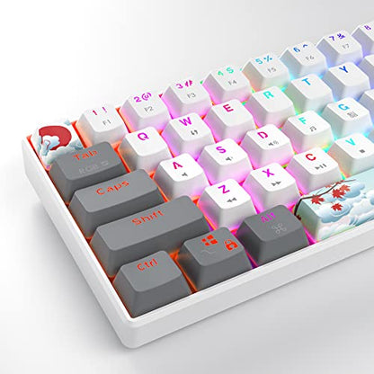 Owpkeenthy RGB Mechanical Keyboard 60 Percent Red Switches, Ultra-Compact Mini Wired Gaming Keybaord with Backlit PBT Dye-Sub Keycaps for Win/Mac/PC (White/Red Switch) - color: White/ Red Switch