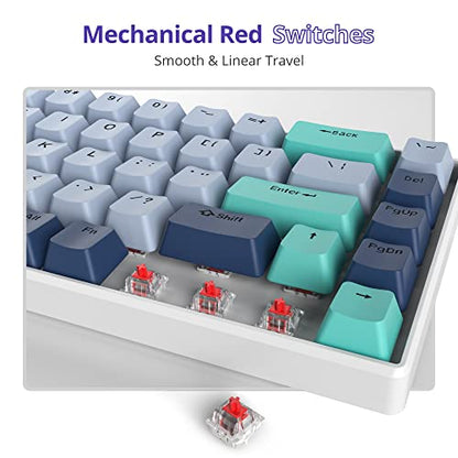 Owpkeenthy 65 Percent Mechanical Gaming Keyboard Hammerhead Shark with Red Switch Ultra Compact RGB Wired 60% Gaming Keyboard N-Key Rollover for PC Gamer Box PS - color: Hammerhead Shark/ 68 Red Switch
