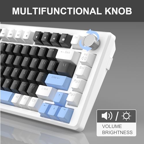 MageGee 75% Mechanical Gaming Keyboard, Compact Blue Backlit Wired Gaming Keyboards with Black Switches, EVA Foam, Knob Control, STAR75 Portable NKRO PC Gaming Keyboard - Black & Blue - color: Black & Blue - Black Switch