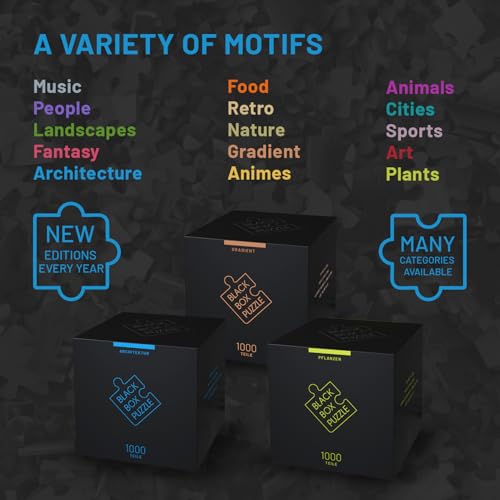 Misu Games Black Box Puzzle Without Template, Jigsaw Puzzles for Adults 1000 Pieces, Cool Jig-Saw Puzzels 20x27 Multiple Categories, Difficult Puzzle (Architecture, 2023)