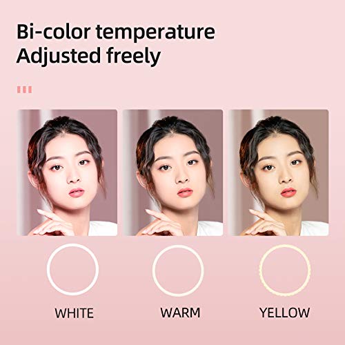AMBITFUL 21-inch LED Ring Light, 50W 416 Beads, 3000K-6000K Adjustable Color Temperature, with Light Stand for Live Streaming, YouTube Videos, Photography, Smartphone/SLR Camera (2 Pack) - color: 21 inch