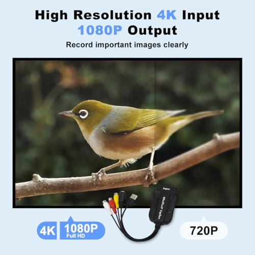 Male USB Capture Card Device, 4K HDMI, AV, RCA, S-Video,Composite to USB 2.0 Capture Card,Convert Analog to Digital,Video Game Capture for Gaming/Live Streaming Recorder for PS5/Switch/Camera/PC/OBS