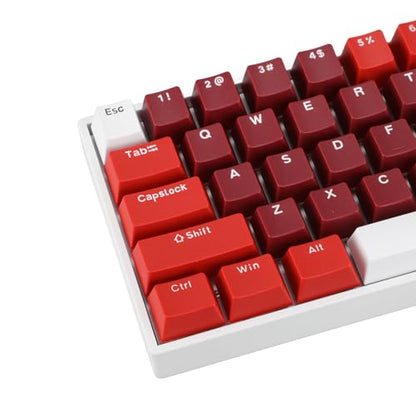 FILFEEL Ergonomic 61 Key Mechanical Keyboard Hot Swappable Blue Switch RGB Backlit Compact 60 Percent USB Wired Gaming Office Typing Portable Minimalist Desk Setup for Gamers Programmers