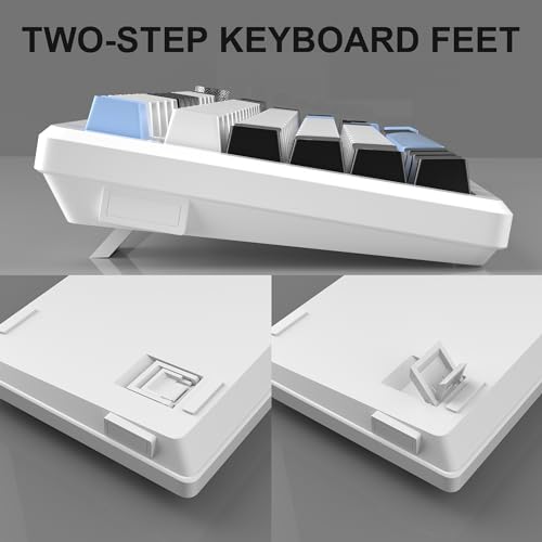 MageGee 75% Mechanical Gaming Keyboard, Compact Blue Backlit Wired Gaming Keyboards with Brown Switches, EVA Foam, Knob Control, STAR75 Portable NKRO PC Gaming Keyboard - White & Blue - color: White & Blue - Brown Switch