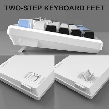 MageGee 75% Mechanical Gaming Keyboard, Compact Blue Backlit Wired Gaming Keyboards with Brown Switches, EVA Foam, Knob Control, STAR75 Portable NKRO PC Gaming Keyboard - White & Blue - color: White & Blue - Brown Switch