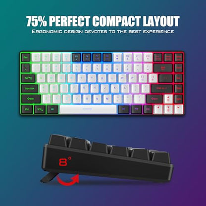 RedThunder K84 Wireless Keyboard and Mouse Combo, LED Rainbow Backlit Rechargeable Battery, 75% Layout TKL Ultra Compact Gaming Keyboard & Lightweight 3200 DPI Honeycomb Optical Mouse (White-Black) - color: White Black