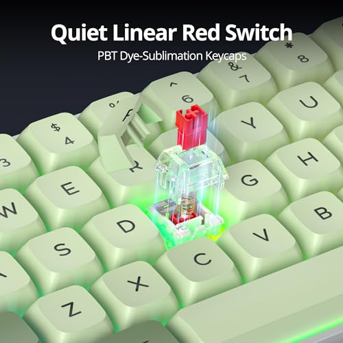 65% Mechanical Keyboard Wired Linear Red Switch RGB Backlight | 65 Percent 68-keys Compact Layout Gaming Keyboard TKL Ultra-Compact Mini RGB Backlit - color: 68 Matcha/Red Switch