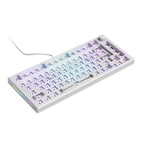 GLORIOUS Gaming GMMK PRO 75% Barebones White (Frame Only) - Modular Mechanical Gaming Keyboard, TKL Size (75%), 3.3lb Frame, RGB, Fully Customisable, 5-Pin Switch Support - color: Silver, size: TKL, style: Contemporary