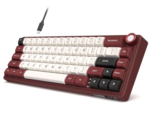 RK ROYAL KLUDGE R65 Wired Mechanical Keyboard with Volume Knob, 60% Percent RGB Backlit Gaming Keyboard Gasket Mount with PBT Keycaps, MDA Profile, QMK/VIA, 66 Keys Hot Swappable Light Switch, Red - color: Red