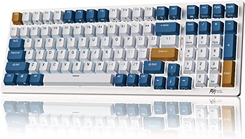 RK ROYAL KLUDGE RK98 Wireless Mechanical Keyboard, Triple Mode 2.4G/BT5.1/USB-C Hot Swappable Keyboard with Number Pad, Pre-lubed Clicky Switches RGB Backlit Gaming Keyboard, Software Support - color: White, size: Hot Swap Blue Switch
