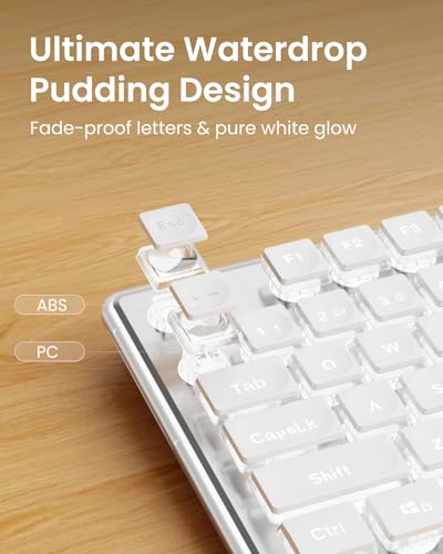 SEUNKWANG Wired Backlit Keyboard with Pudding Keycaps, Quiet Full Size Computer Keyboard White Backlight Easy-to-Read, Never Fade, Metal Panel, USB Cute Desk Setup for Windows PC Desktop, White - color: White