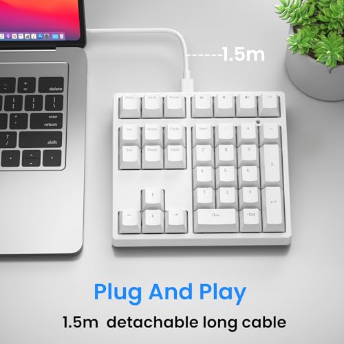 Gurjot Number Pad，Mechanical USB Wired Numeric Keypad with RGB LED Backlit,34 Keys Numpad Keyboard with PBT Keycaps Blue Switches for Windows/Mac Laptop,Computer,Desktop,PC,Notebook (White) - color: white