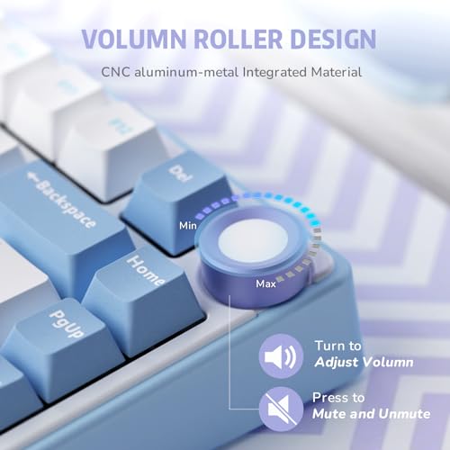 RK ROYAL KLUDGE R75 Mechanical Keyboard Wired with Volume Knob, 75% Custom Gaming Keyboard Gasket Mount RGB Backlit with Software, Cherry Profile, Hot Swappable Silver Switch, PBT Keycaps - color: purple