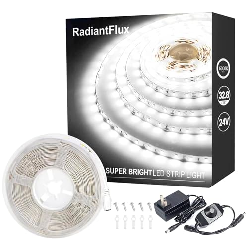 Small Led Light Strip, 12V Updated 24V Dimmable Cuttable LED Lights Strip, 32.8ft 600Leds, Super Bright LED Tape Lights for Living Room, Bedroom, Kitchen, Vanity Mirro,Flexible LED Light Strips - color: Daylight White, size: 32.8FT