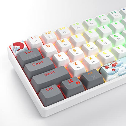 60% Mechanical Keyboard Wired Linear Red Switch RGB Backlight | 60 Percent 61-keys Compact Layout Gaming Keyboard TKL Ultra-Compact Mini RGB Backlit - color: 61 White/Red Switch