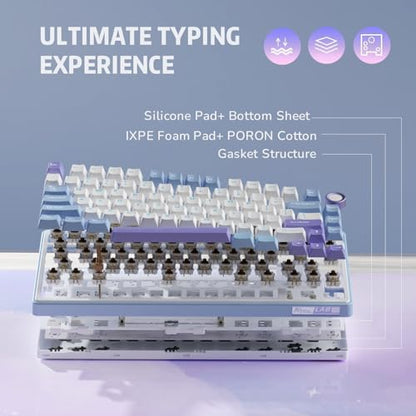 RK ROYAL KLUDGE R75 Mechanical Keyboard Wired with Volume Knob, 75% Custom Gaming Keyboard Gasket Mount RGB Backlit with Software, Cherry Profile, Hot Swappable Silver Switch, PBT Keycaps - color: purple