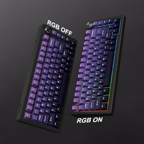 dagaladoo Double Shot PBT keycaps Purple, Cherry Profile Keyboard Keycaps | 138-keys Gradient key caps full size,Custom keycaps for 60% 65% 75% 100% Cherry-MX switch Mechanical Keyboard - color: Gradient Purple