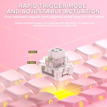 Aula WIN60 HE - 60% Mechanical Gaming Keyboard Wired, Hall Effect Magnetic Switch Hot Swappable,8000 Hz Polling Rate, RGB Keyboard 60 Percent Compact Design for PC (Gradient Pink) - color: Gradient Pink