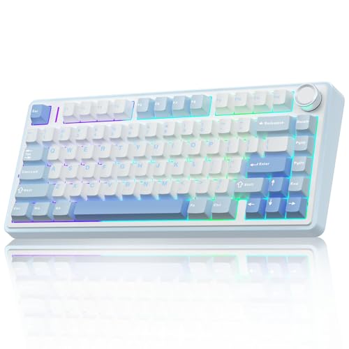AULA F75 75% Wireless Mechanical Keyboard, Hot Swappable Creamy Keyboard, Pre-lubed Greywood Switches RGB Backlit Gaming Keyboards, 2.4GHz/Type-C/BT5.0(Salt White Blue) - color: Salt White Blue