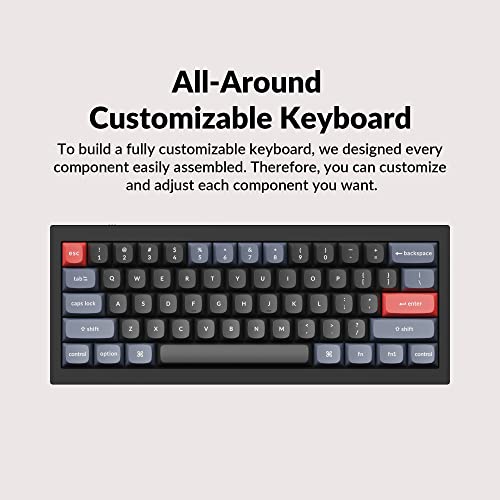 Keychron Q4 Wired Custom Mechanical Keyboard, QMK/VIA Programmable Macro, Full Aluminum, Hot-Swappable Gateron G Pro Blue Switch, 60% Layout Double Gasket Compatible with Mac and Windows - Black - color: Black (Gateron G Pro Blue Switch)