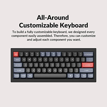 Keychron Q4 Wired Custom Mechanical Keyboard, QMK/VIA Programmable Macro, Full Aluminum, Hot-Swappable Gateron G Pro Blue Switch, 60% Layout Double Gasket Compatible with Mac and Windows - Black - color: Black (Gateron G Pro Blue Switch)