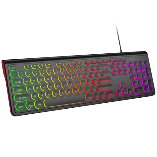 Dilter USB Wired Computer Keyboard with Backlit - Full Size Office Keyboard with Number Pad, Caps Indicators, Foldable Stands, for PC Laptop Desktop Windows 7 8 10 11 (Black) - color: Backlit