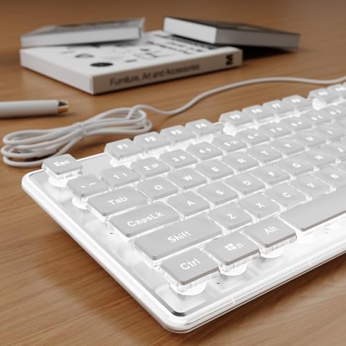SEUNKWANG Wired Backlit Keyboard with Pudding Keycaps, Quiet Full Size Computer Keyboard White Backlight Easy-to-Read, Never Fade, Metal Panel, USB Cute Desk Setup for Windows PC Desktop, White - color: White