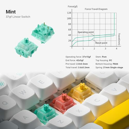 nuphy Halo65 V2 Wireless Mechanical Keyboard with PBT Keycaps, 65% Hot Swappable Custom Gaming Keyboard Compatible with QMK/VIA, RGB Backlit,Gasket Structure,BT5.0/USB-C/2.4GHz,Black-Mint Switches - color: Black, size: Mint Switch