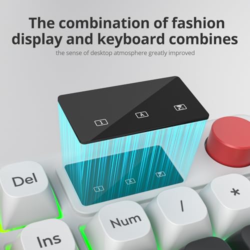 RGB Mechanical Feel Membrane Wireless Keyboard, Wired/Bluetooth/2.4G Silent ABS Ball Cap Gasket Structure Gaming Office Keyboard for PC/Mac/Win (98 Black) - color: 98 Black