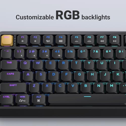 Keychron KJ1 Low Profile Wireless Mechanical Keyboard - 75% Layout Red Switch, QMK RGB Backlit, 2.4G/Bluetooth/USB-C, Double-Shot PBT Keycaps, 2000mAh Battery, Mac/Win/Linux Compatible - Black - style: Black - Red Switch