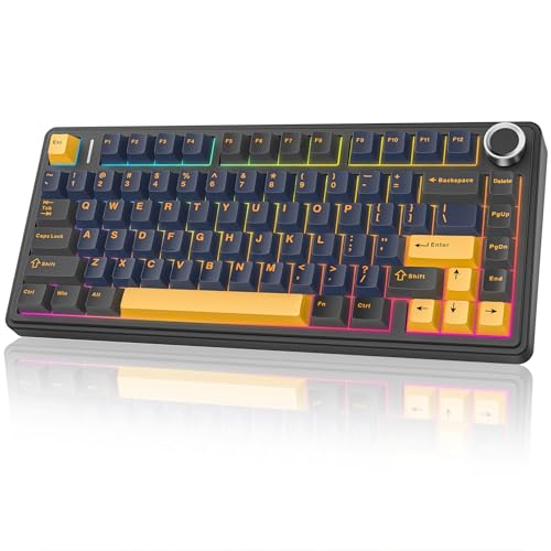 Aula F75 Wireless Mechanical Keyboard, 75% Hot Swappable Custom Gaming Keyboard with Knob,BT5.0/2.4GHz/USB-C,RGB Backlit,Pre-lubed Reaper Switches, Mechanical Gaming Keyboards (Black & Gold) - color: Black & Gold