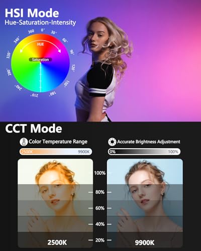 2Pack RGB LED Video Light Wand Stick with Stand, Full Color 2500-9900K Dimmable Photography Studio Lighting Kits with Gooseneck Soft Tube & Remote Control for Live Streaming/Portrait/Vlog