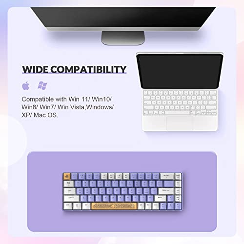 ZIYOU LANG RK-T8 Wired 65% Mechanical RGB Gaming Keyboard-White/Purple | Rainbow Backlit,Anti-ghosting,TKL,Mini 68 Key,Custom Coiled C to A Cable,Tactile Blue Switch for PS4 PS5 Xbox PC Mac Gamer - color: White Purple, size: 65% Keyboard