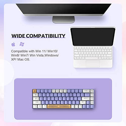 ZIYOU LANG RK-T8 Wired 65% Mechanical RGB Gaming Keyboard-White/Purple | Rainbow Backlit,Anti-ghosting,TKL,Mini 68 Key,Custom Coiled C to A Cable,Tactile Blue Switch for PS4 PS5 Xbox PC Mac Gamer - color: White Purple, size: 65% Keyboard