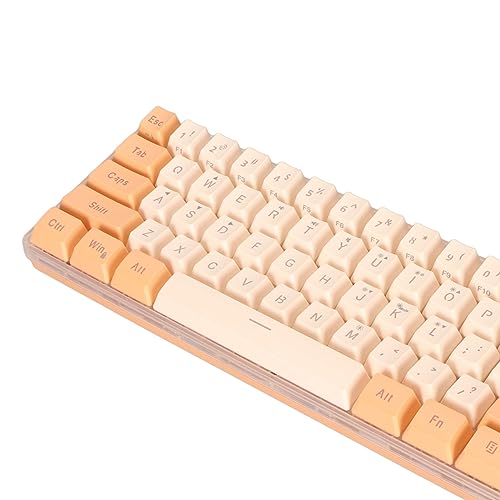 ZJchao Mini Keyboard, Gaming Keyboard 60 Percent 61 Keys Keyboard Wired Gaming Keyboard RGB Imitated Mechanical Compact for Typist (Orange Yellow)
