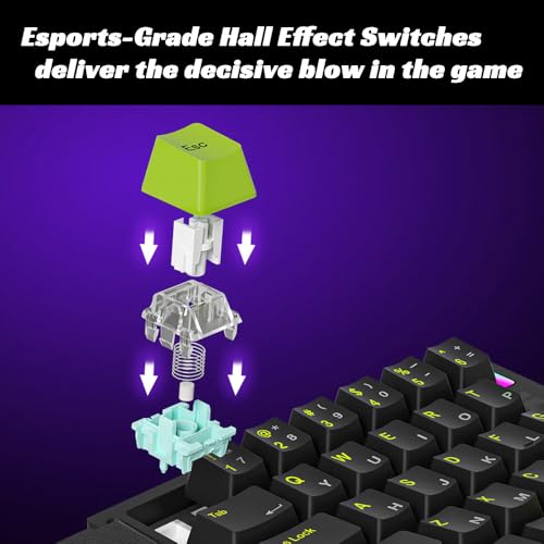 Left Handed Mini Gaming Kayboard 30% 29 keys Hall Effect Gaming Keypad,8K,0.01,Rapid Trigger,Swapable Mechanical Magnetic Switch,RGB,Portable One Hand Gaming Keypad for FPS/Rhythm Games PC/Mac,2nd KB - color: Black